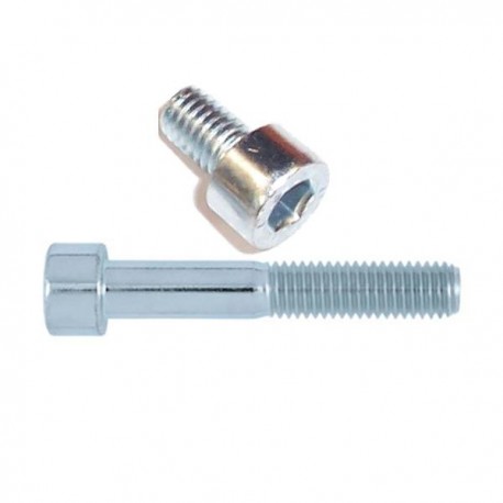 Vis tête cylindrique BTR 6 pans creux M6x100