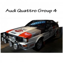 Extension aile AUDI Quattro Groupe 4