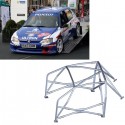 Arceau 6 points FIA PEUGEOT 106