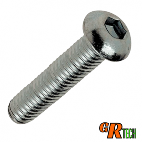 Vis tête bombée TBHC 6 pans creux M6x100
