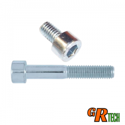 Vis tête cylindrique BTR 6 pans creux M6x100