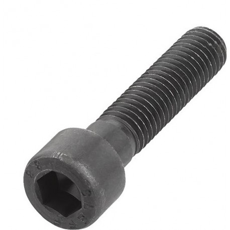 Vis tête cylindrique BTR 6 pans creux M12x175