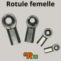 Rotules femelles